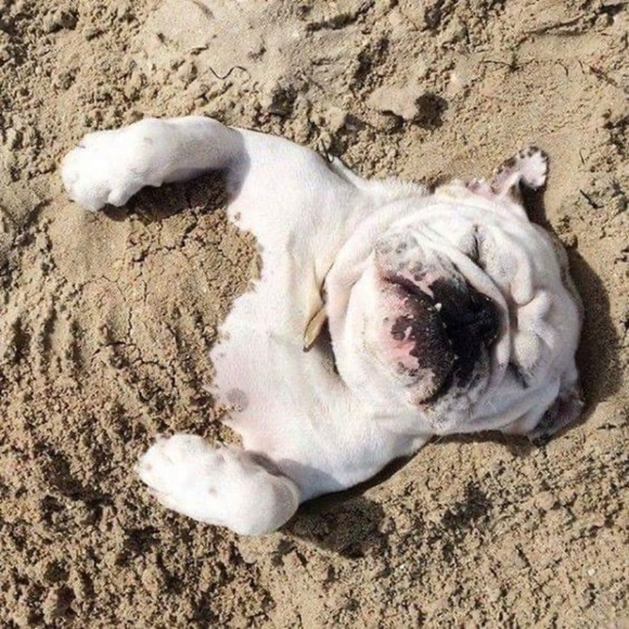 Meet your Posher, Jessi - Picture 7 of 13